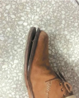 【安安宠医广州/佛山/江门】爱宠基础体检套餐（犬猫通用） 广州地区